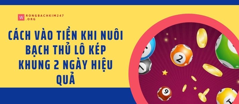 Cách vào tiền khi nuôi bạch thủ lô kép khung 2 ngày hiệu quả