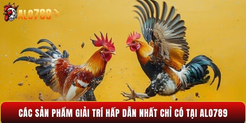 Các sản phẩm giải trí hấp dẫn nhất chỉ có tại Alo789
