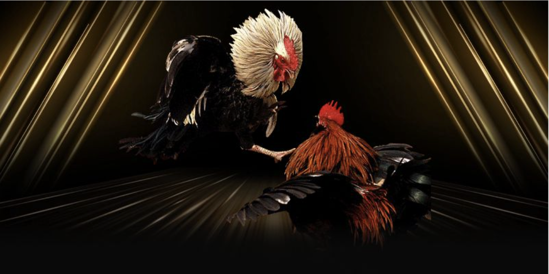 Lựa chọn nhà cái