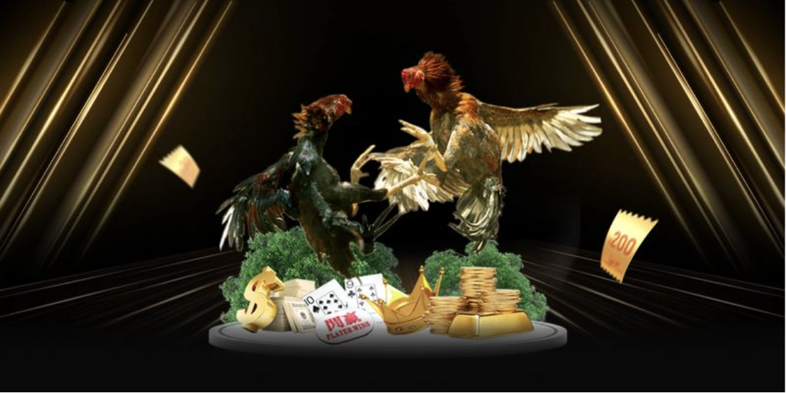 Tỷ lệ cược đa dạng trong cá cược Đá gà