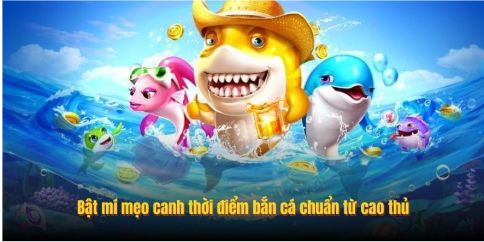 Bật mí mẹo canh thời điểm bắn cá chuẩn từ cao thủ